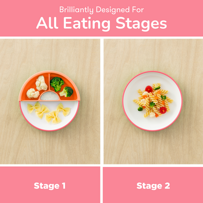 OMIE Easy Scoop Plate (3 Plates + 2 Dividers) (Copy)