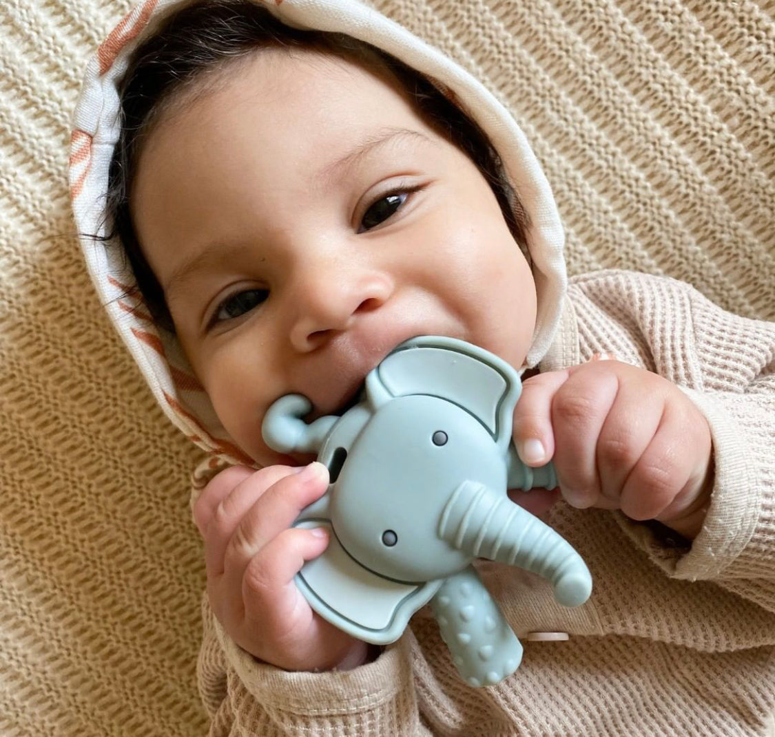 Ritzy Teether™ - Molar Teether